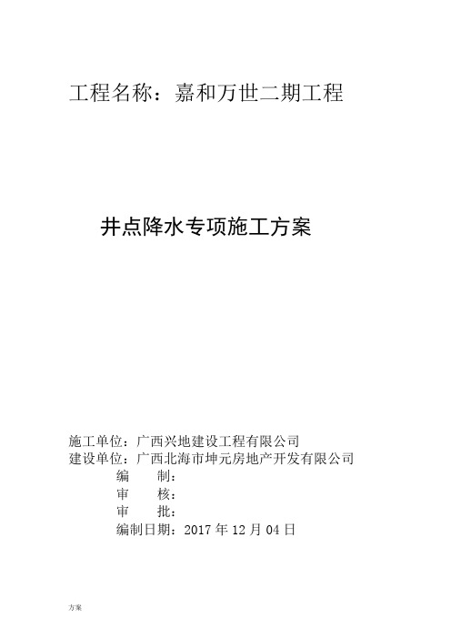 井点降水施工的解决方案.doc