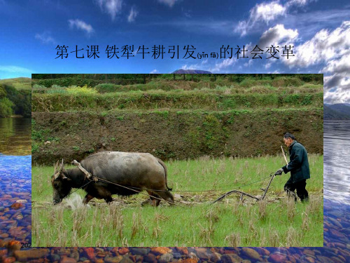 历史上册 第7课 铁器牛耕引发的社会变革课件1