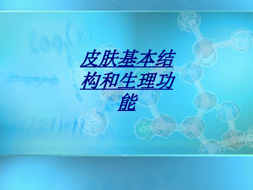 皮肤基本结构和生理功能讲义