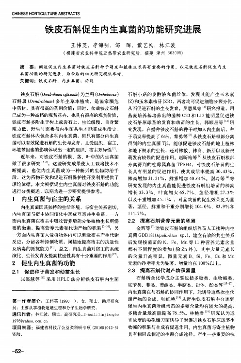 铁皮石斛促生内生真菌的功能研究进展