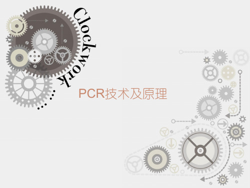 PCR技术及测序解析