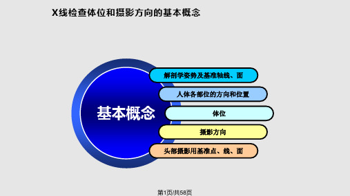 X线检查体位和摄影方向的基本概念PPT课件