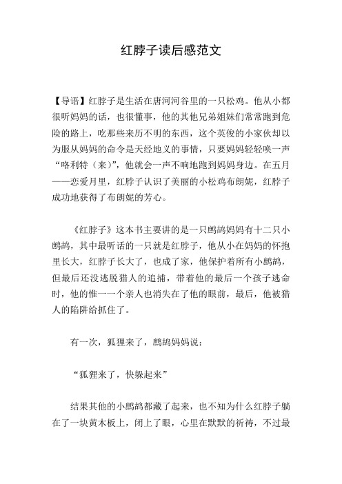 红脖子读后感范文