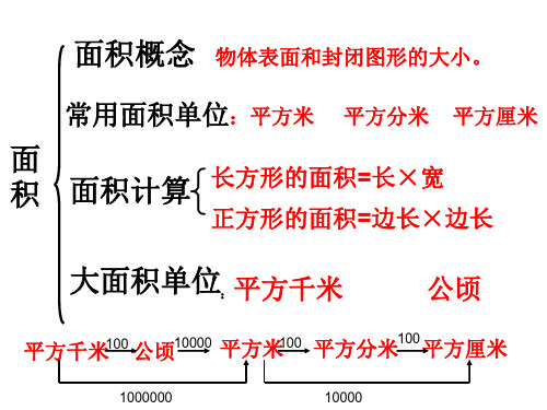 三年级数学《面积和面积单位》复习