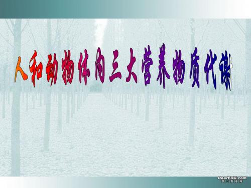 人教版教学教案云南省弥勒县庆来中学2011-2012学年生物必修3 人和动物体内三大营养物质代谢(课件)