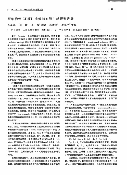 肝细胞癌CT灌注成像与血管生成研究进展