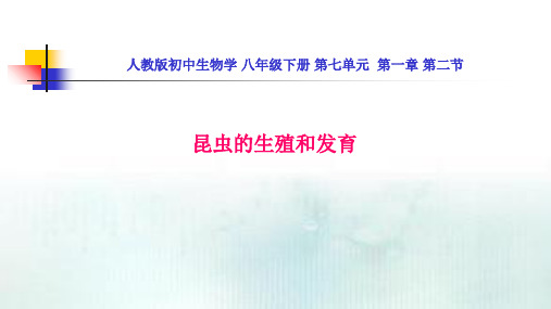 人教版初中生物学八年级下册第七单元第一章第二节昆虫的生殖和发育公开课教学课件共16张PPT含四个视频