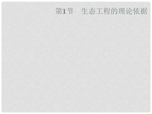 高中生物 第1章 生态工程 1.1 生态工程的理论依据课件