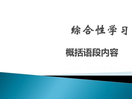 中考语文总复习：《语文综合性学习》ppt课件