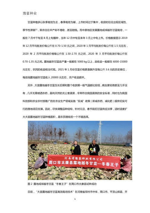 越冬甘蓝种子品种栽培技术详细介绍