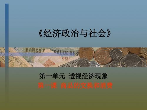 经济政治与社会-第一课说课--