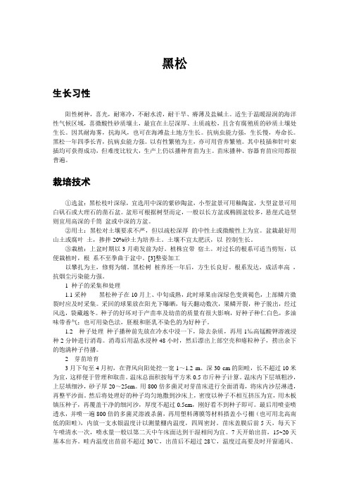 黑松