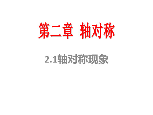 山东省七年级鲁教版(五四制)数学上册课件：21轴对称现象(共32张PPT)