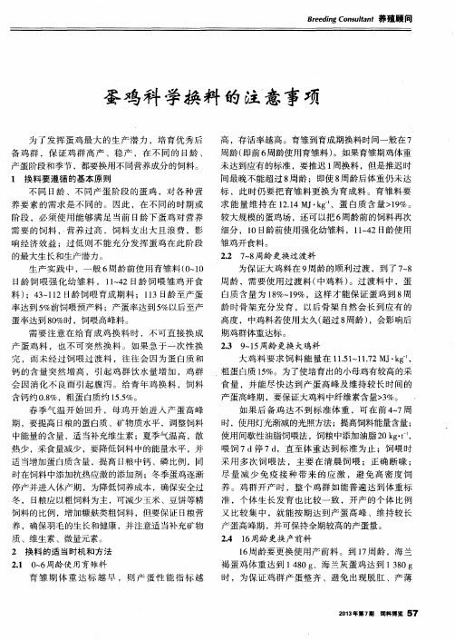 蛋鸡科学换料的注意事项