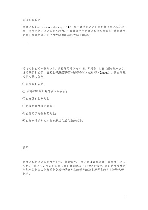 颈内动脉系统要点