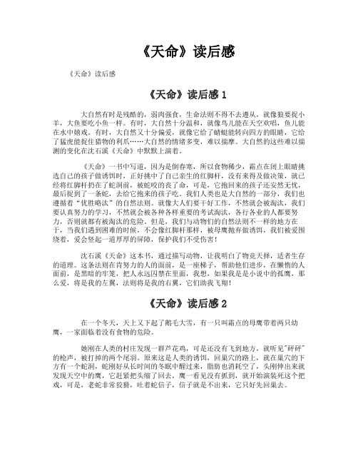 《天命》读后感