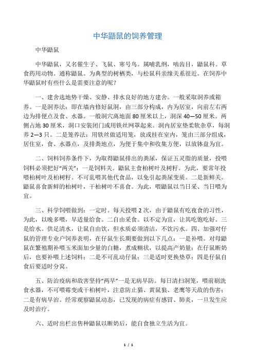 中华鼯鼠的饲养管理