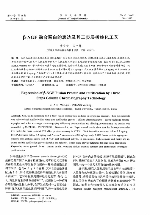 β-NGF融合蛋白的表达及其三步层析纯化工艺