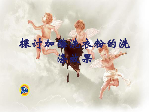 高中生物课件-4.2 探讨加酶洗衣粉的洗涤效果