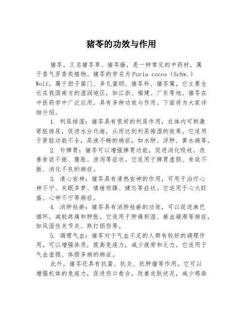 猪苓的功效与作用