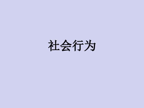 人教版八年级上册生物  5.2.3 社会行为 课件   (共21张PPT)