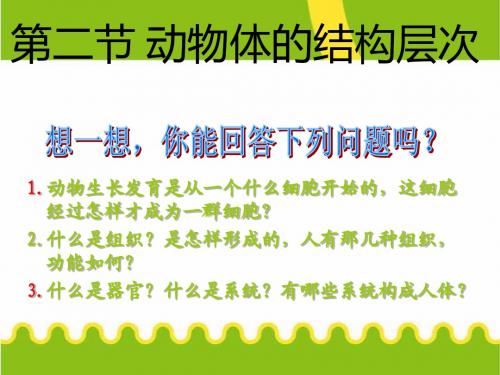 2012秋新人教版第二单元.第二章第二节动物体的结构层次课件_