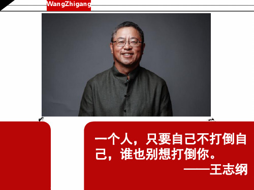 王志纲介绍王志纲生平王志纲励志
