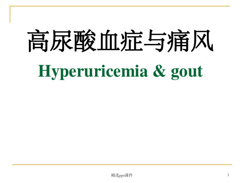 《痛风病防治培训》PPT课件