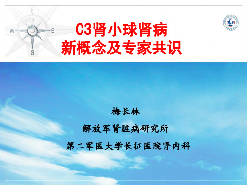 C3肾小球病新概念和专家共识上海