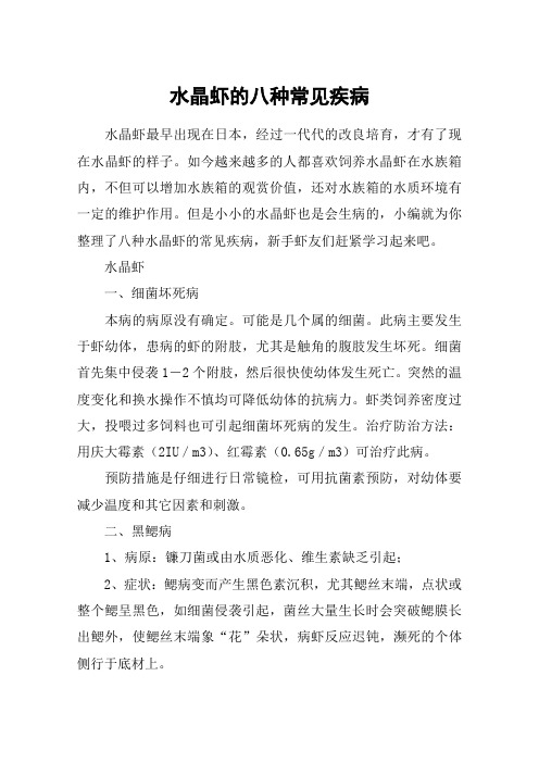 水晶虾的八种常见疾病