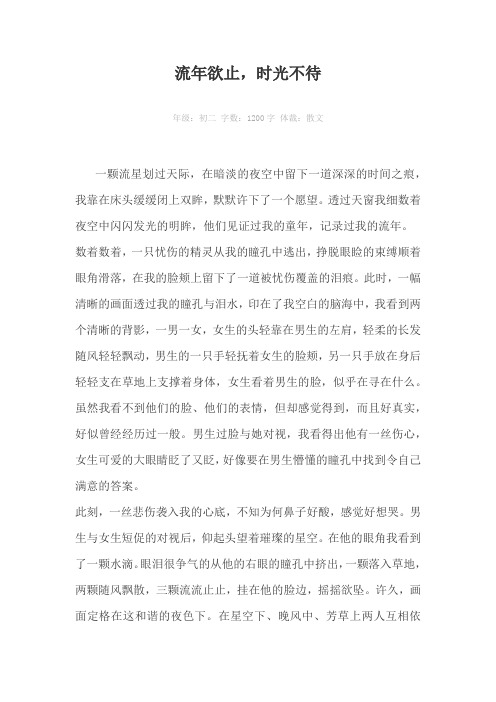 流年欲止，时光不待1200字作文