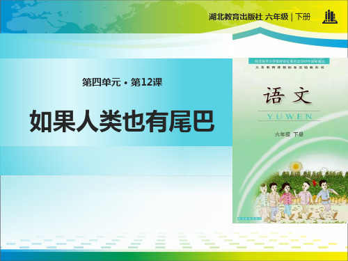 《如果人类也有尾巴》PPT【完美版课件】
