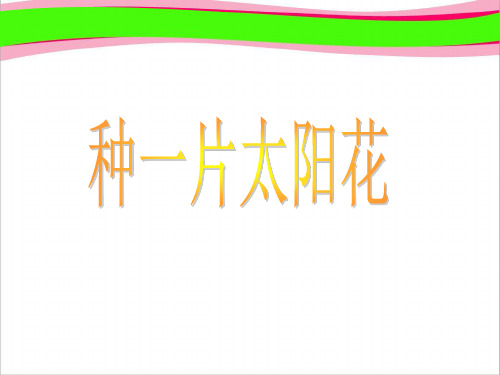 北师大版小学四年级下册语文《种一片太阳花》课件PPT   大赛获奖精美课件PPT