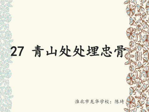 27 青山处处埋忠骨