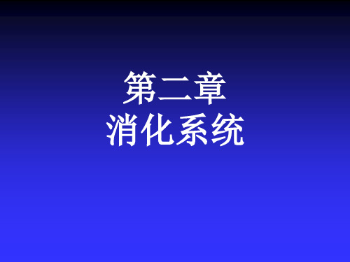 人体解剖学与组织胚胎学-消化系统