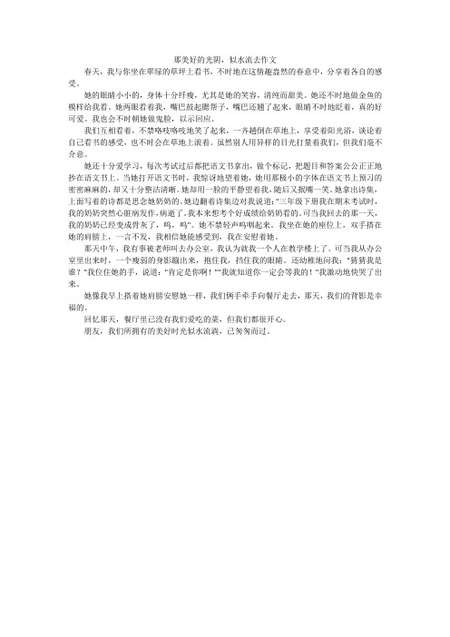 那美好的光阴,似水流去作文