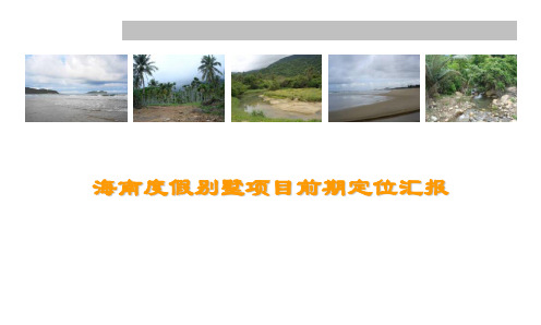 【项目管理】海南度假别墅项目前期定位汇报_298PPT
