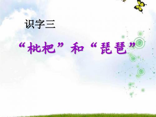 《“枇杷”和“琵琶”》PPT精品教学课件2