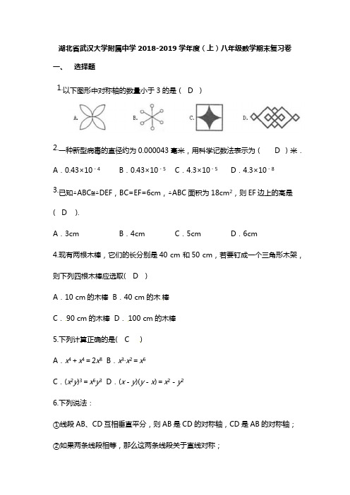 湖北省武汉大学附属中学2018-2019学年度(上)八年级数学期末复习卷