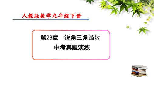 人教版九年级下册 第28章《锐角三角函数》中考真题演练课件(共15张PPT)