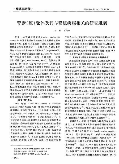 肾素(原)受体及其与肾脏疾病相关的研究进展