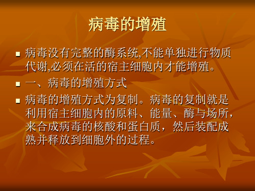 病毒的增殖