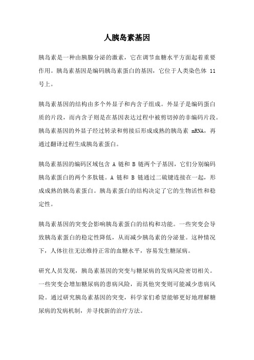 人胰岛素基因