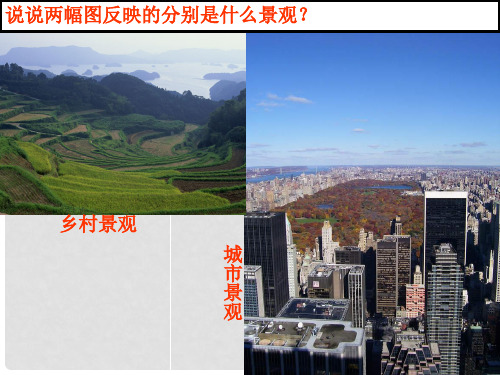 七年级历史与社会上册 第一单元 第二课 第一框 乡村聚