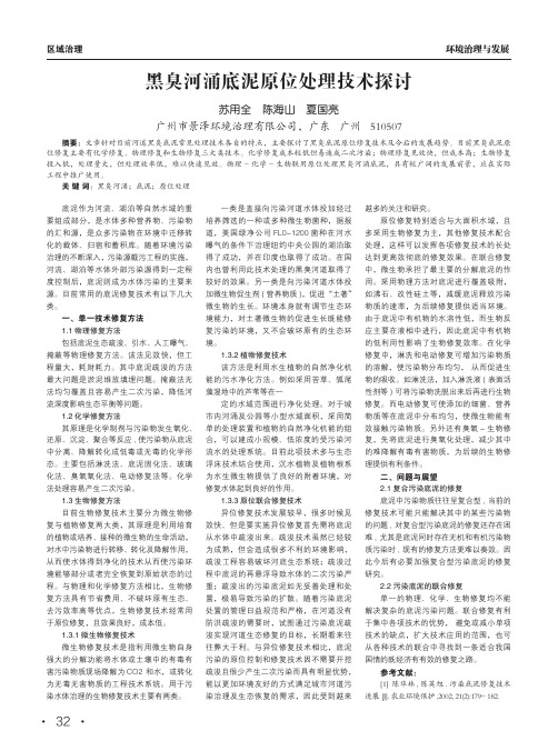 黑臭河涌底泥原位处理技术探讨
