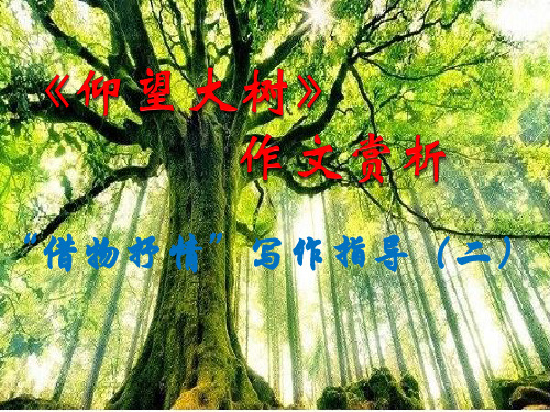 人教版八年级语文下册《二单元  写作  借物抒情》示范课件_4
