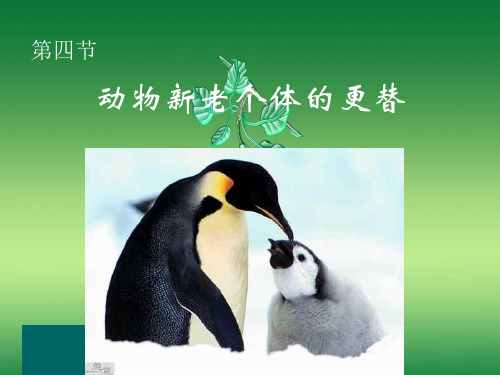动物生殖方式的多样性PPT教学课件