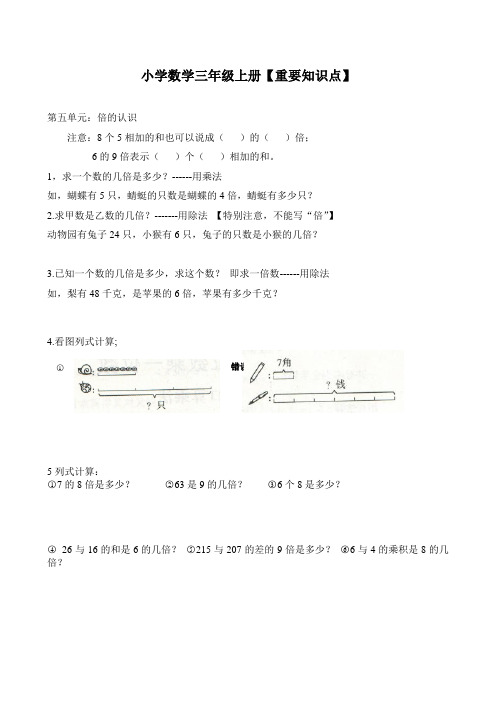 【精品】三年级数学上册期末重要知识点 11页