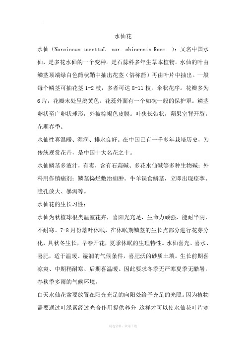 水仙花的介绍