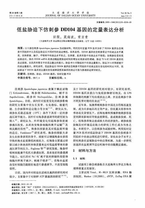 低盐胁迫下仿刺参DD104基因的定量表达分析